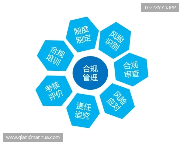 现金真人网的法律风险与合规管理的重要性 现金真人网的法律风险与合规管理的重要性