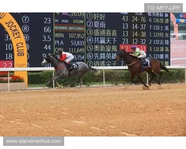 专业澳门赛马咨询团队为您提供赛马赛事分析、投注方案及风险提示 专业澳门赛马咨询团队为您提供赛马赛事分析、投注方案及风险提示