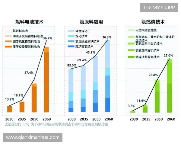 新葡京赌场游戏历史发展与未来趋势分析引领行业创新发展