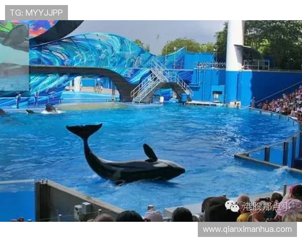 海洋之神娱乐官网安全保障措施，保障玩家账号与资金安全